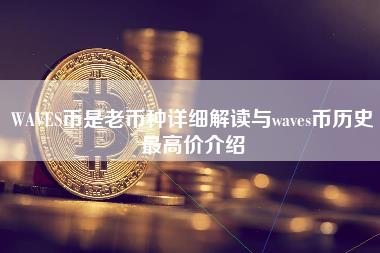 WAVS币是老币种详细解读与wavs币历史最高价介绍
