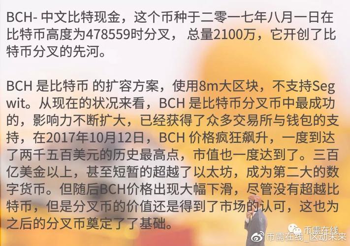 BCD币未来前景怎么样？BCD币优势劣势分析
