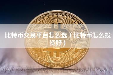 比特币交易平台怎么选（比特币怎么投资好