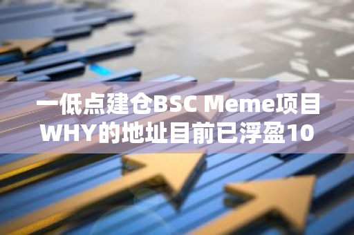一低点建仓BSC Meme项目WHY的地址目前已浮盈107万美元