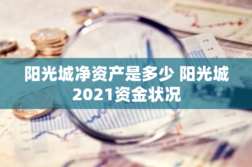 阳光城净资产是多少 阳光城2021资金状况