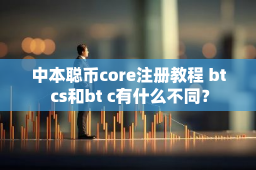 中本聪币core注册教程 bt cs和bt c有什么不同？