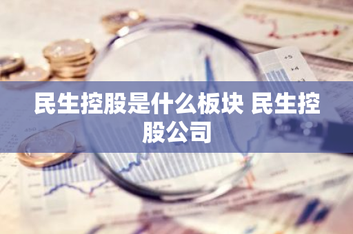 民生控股是什么板块 民生控股公司