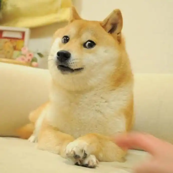 百倍金狗AIDOGE后再次出击，王大有的HODL Meme