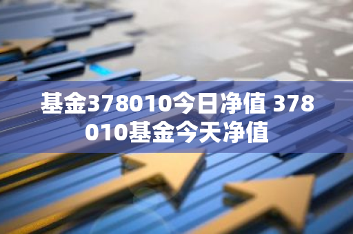基金378010今日净值 378010基金今天净值