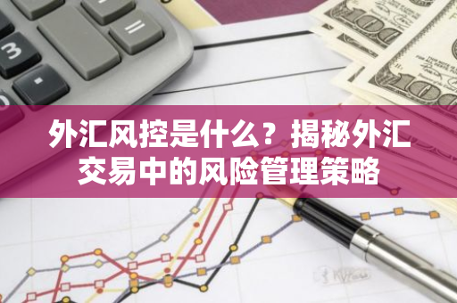 外汇风控是什么？揭秘外汇交易中的风险管理策略