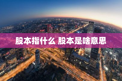 股本指什么 股本是啥意思