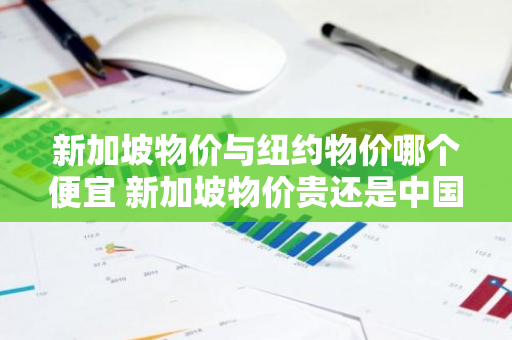 新加坡物价与纽约物价哪个便宜 新加坡物价贵还是中国