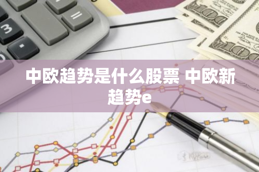 中欧趋势是什么股票 中欧新趋势e