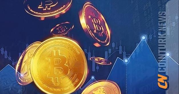 谁在购买比特币？揭秘币圈投资者群体