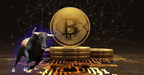FBT币是什么币种 FBT币未来前景分析