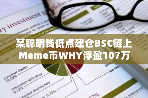 某聪明钱低点建仓BSC链上Meme币WHY浮盈107万美元，回报率达595%