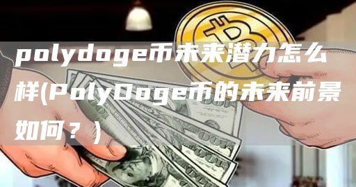 polydoge币未来潜力怎么样 - PolyDoge币的未来前景如何？