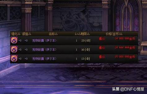 比特币上分：DNF用户指南