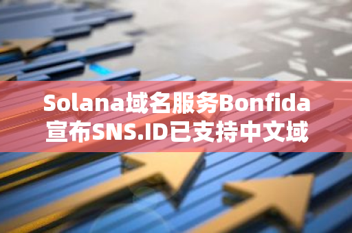 Solana域名服务Bonfida宣布SNS.ID已支持中文域名