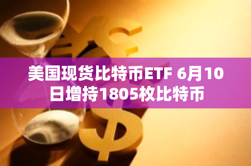 美国现货比特币ETF 6月10日增持1805枚比特币