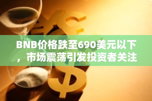 BNB价格跌至690美元以下，市场震荡引发投资者关注与担忧