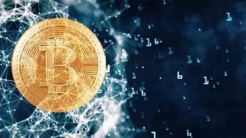 探讨比特币：币圈爱好者的数字加密货币指南
