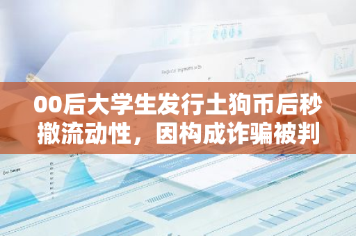 00后大学生发行土狗币后秒撤流动性，因构成诈骗被判有期徒刑4年6个月