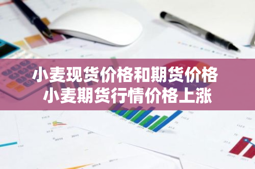 小麦现货价格和期货价格 小麦期货行情价格上涨