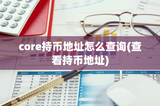 core持币地址怎么查询(查看持币地址)