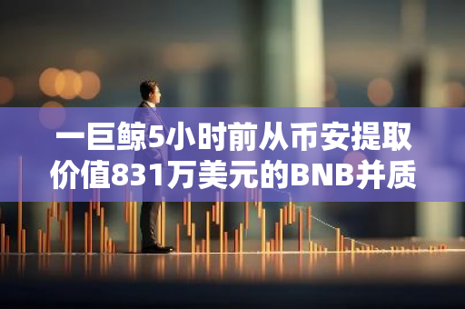 一巨鲸5小时前从币安提取价值831万美元的BNB并质押，随后借入65枚BTCB并存入币安