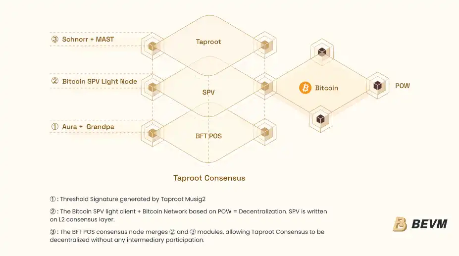 比特币原生拓展技术集大成者——BEVM技术黄皮书全面解读