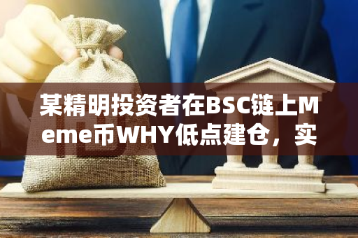 某精明投资者在BSC链上Meme币WHY低点建仓，实现浮盈107万美元的惊人收益