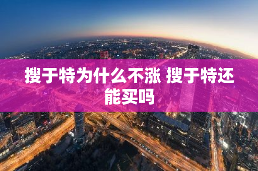 搜于特为什么不涨 搜于特还能买吗