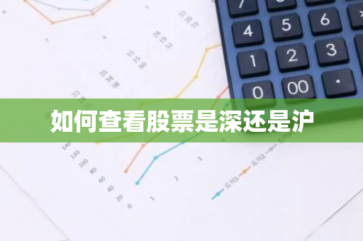 如何查看股票是深还是沪