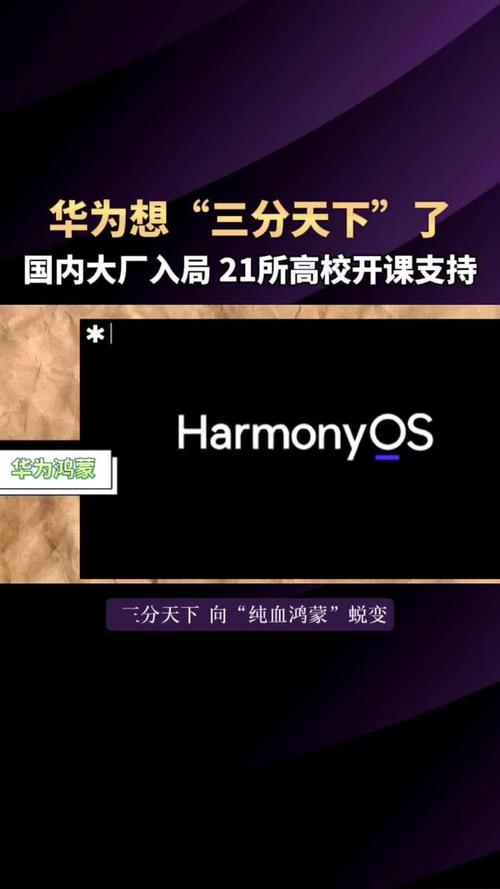 比特币与马云：两位巨头在不同战场的探索与影响