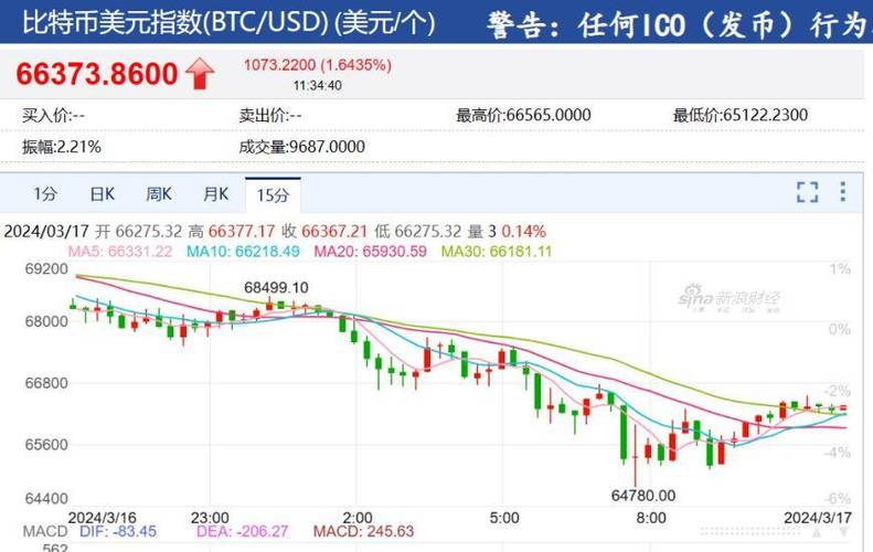 比特币价格波动不断，投资者如何应对？