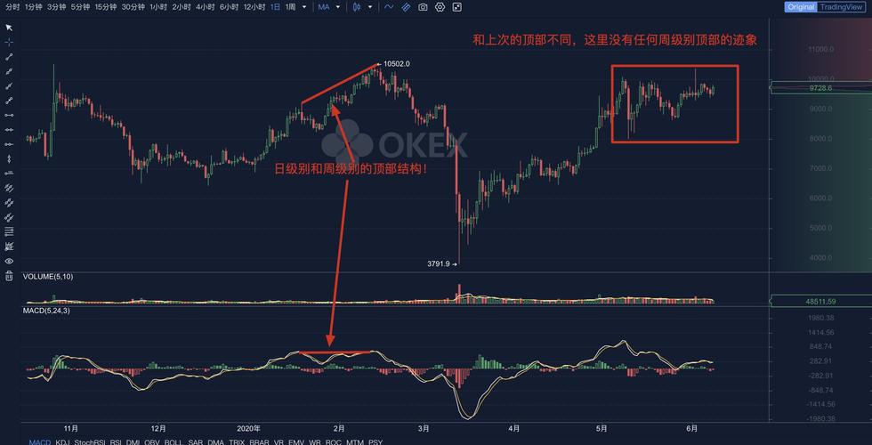 探究比特币长隐线：揭示币圈爱好者的新视角