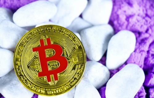 比特币现金今日价格 比特币现金实时价格走势图
