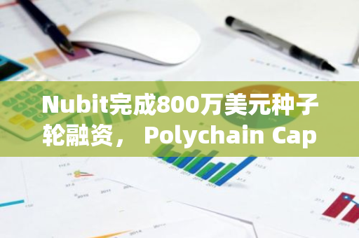 Nubit完成800万美元种子轮融资， Polychain Capital领投