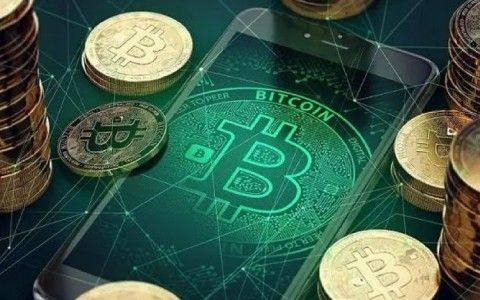 老公做比特币输了100万(老公做比特币输了100万块钱)