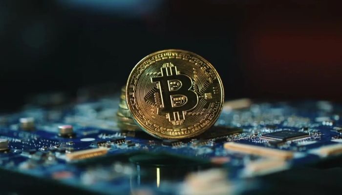 派克币现在多少钱一只(派币多少一个)