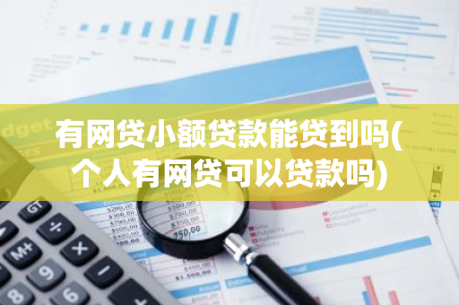 有网贷小额贷款能贷到吗(个人有网贷可以贷款吗)