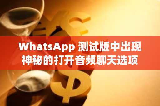 WhatsApp 测试版中出现神秘的打开音频聊天选项