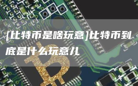 [比特币是啥玩意]比特币到底是什么玩意儿