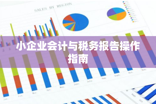 小企业会计与税务报告操作指南