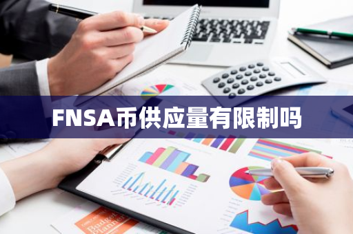 FNSA币供应量有限制吗