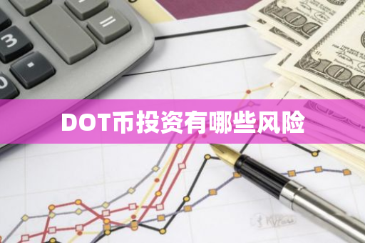 DOT币投资有哪些风险