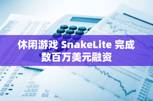 休闲游戏 SnakeLite 完成数百万美元融资