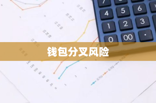钱包分叉风险