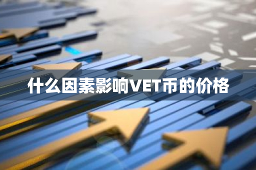 什么因素影响VET币的价格