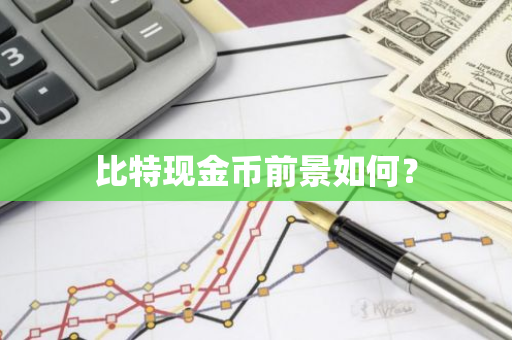 比特现金币前景如何？