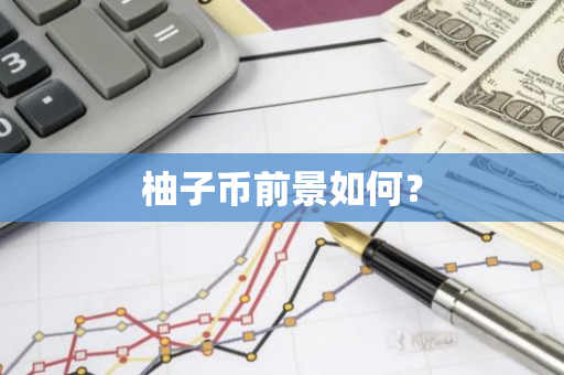 柚子币前景如何？