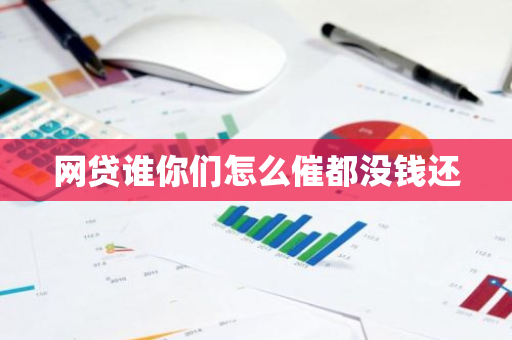 网贷谁你们怎么催都没钱还