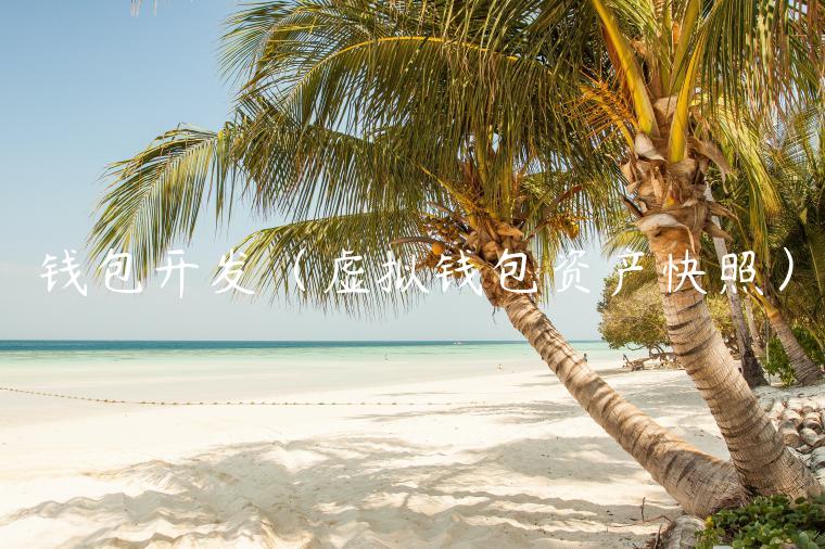 钱包开发（虚拟钱包资产快照）